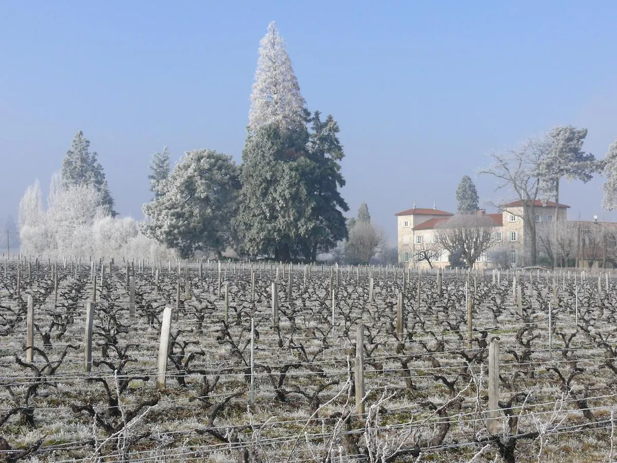 Chateau De Grandmont Chambres D'Hotes Blace Bed & Breakfast